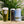 Load image into Gallery viewer, 'Island' Caribbean Lager