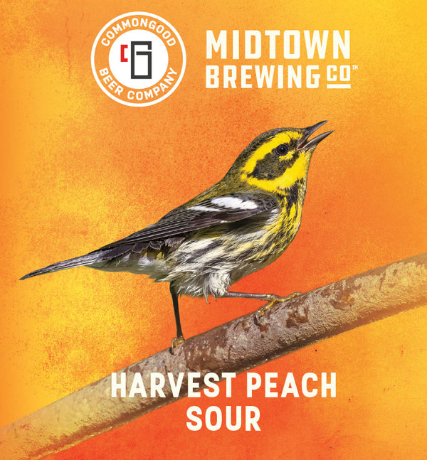 'County Bird' Harvest Peach Sour